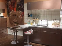 اپنی مرضی کے مطابق کچن کیبنٹ